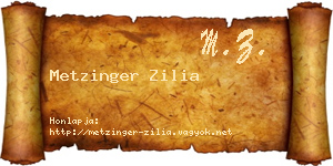 Metzinger Zilia névjegykártya